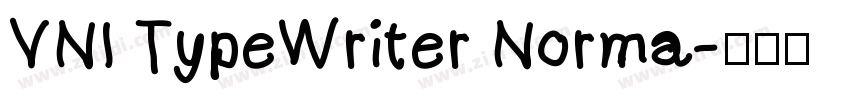 VNI TypeWriter Norma字体转换